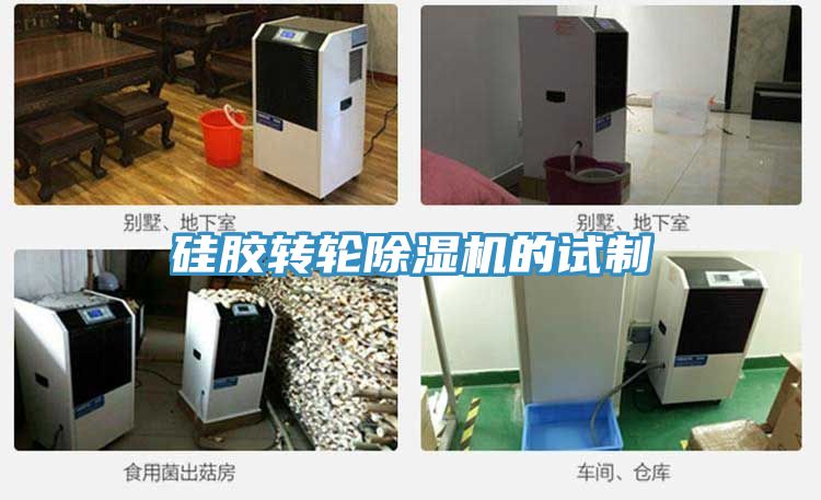硅膠轉(zhuǎn)輪除濕機的試制