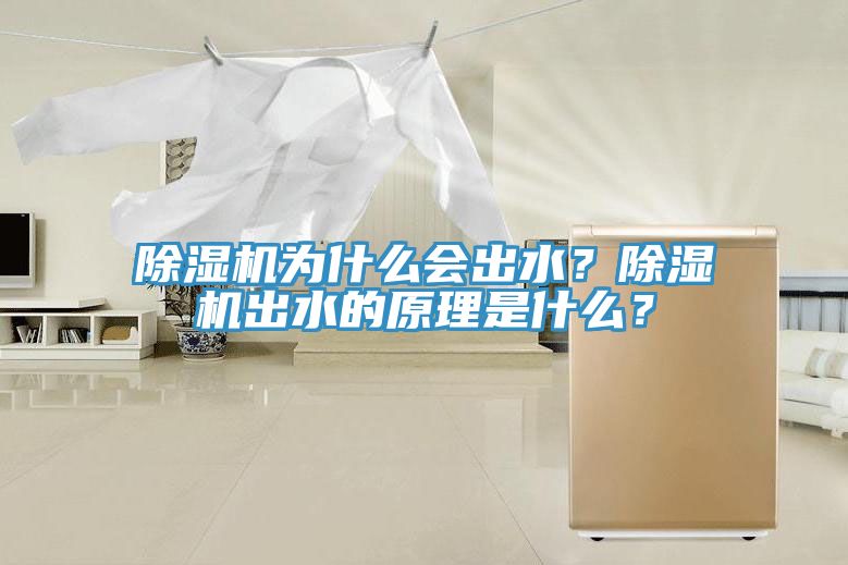 除濕機(jī)為什么會(huì)出水？除濕機(jī)出水的原理是什么？