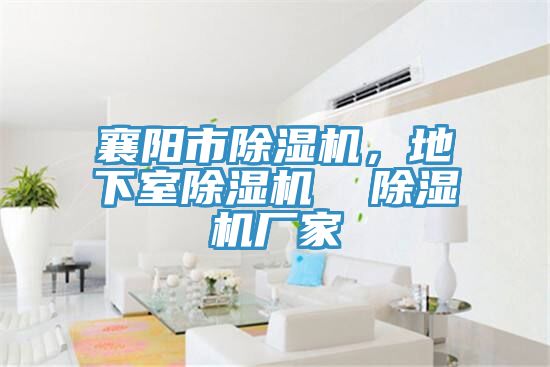 襄陽(yáng)市除濕機(jī)，地下室除濕機(jī)  除濕機(jī)廠家