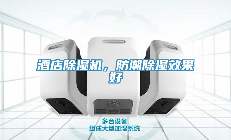 酒店除濕機(jī)，防潮除濕效果好