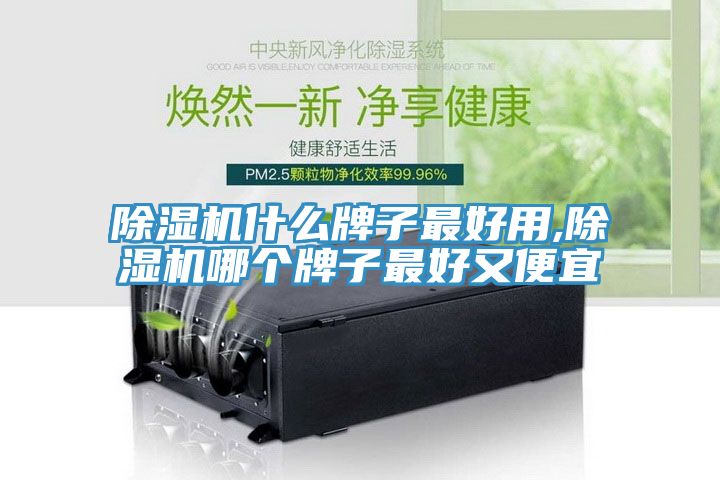 除濕機(jī)什么牌子最好用,除濕機(jī)哪個(gè)牌子最好又便宜