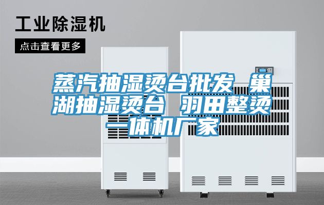 蒸汽抽濕燙臺批發(fā) 巢湖抽濕燙臺 羽田整燙一體機(jī)廠家