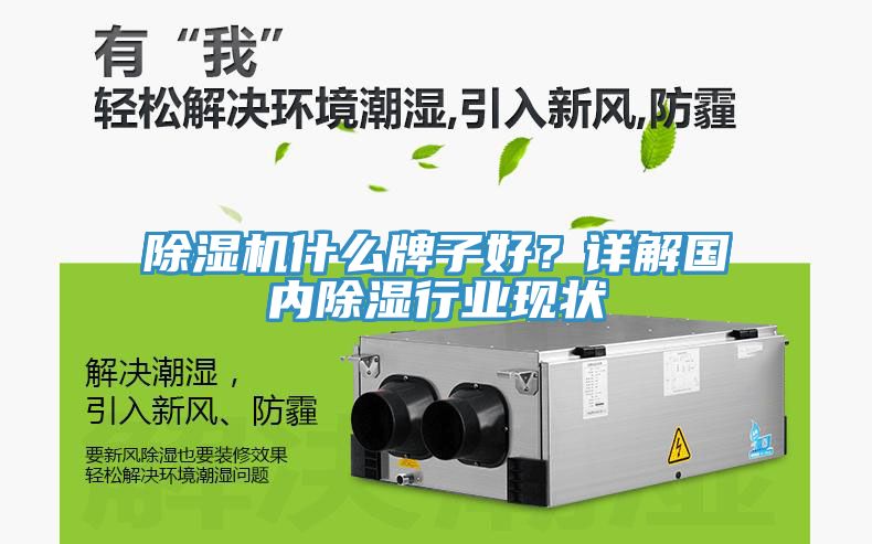 除濕機(jī)什么牌子好？詳解國(guó)內(nèi)除濕行業(yè)現(xiàn)狀