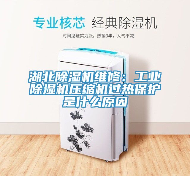 湖北除濕機維修：工業(yè)除濕機壓縮機過熱保護是什么原因