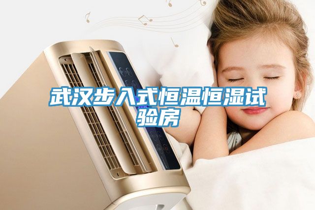 武漢步入式恒溫恒濕試驗(yàn)房