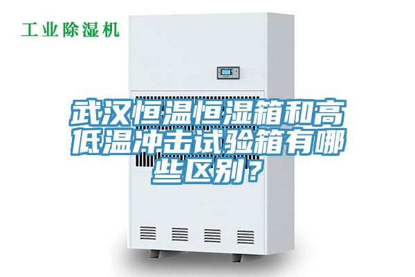 武漢恒溫恒濕箱和高低溫沖擊試驗箱有哪些區(qū)別？
