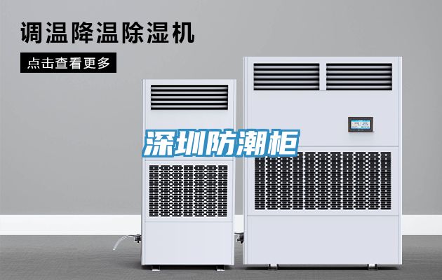 深圳防潮柜