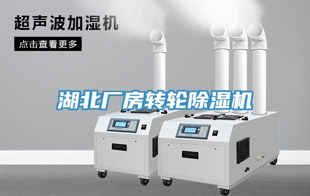 湖北廠房轉(zhuǎn)輪除濕機(jī)