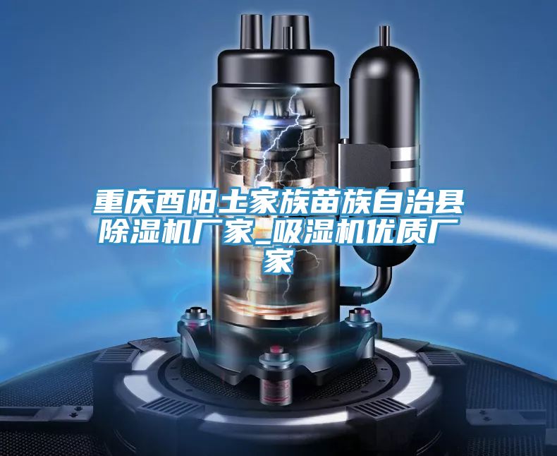 重慶酉陽(yáng)土家族苗族自治縣除濕機(jī)廠家_吸濕機(jī)優(yōu)質(zhì)廠家