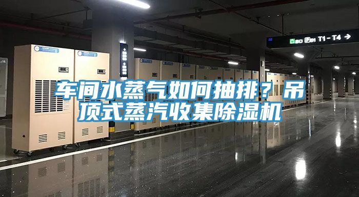 車間水蒸氣如何抽排？吊頂式蒸汽收集除濕機(jī)