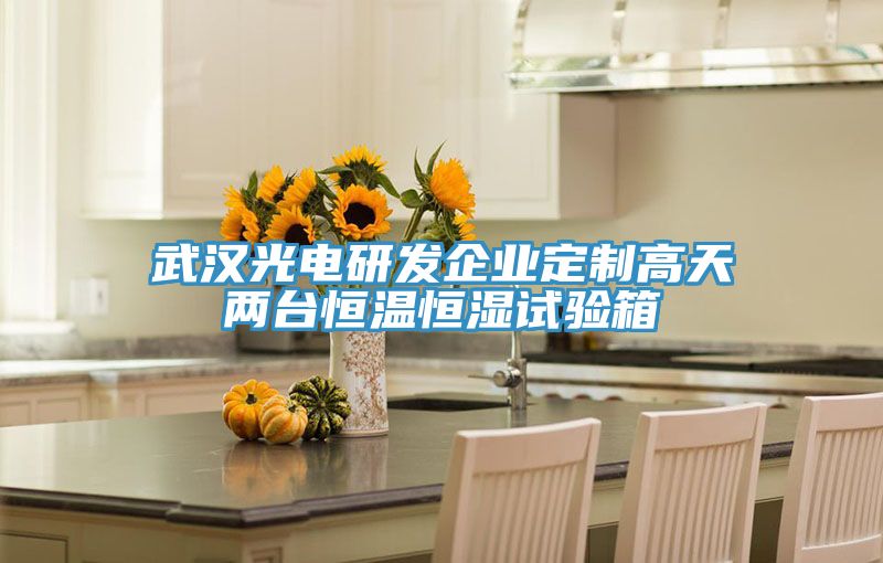 武漢光電研發(fā)企業(yè)定制高天兩臺(tái)恒溫恒濕試驗(yàn)箱