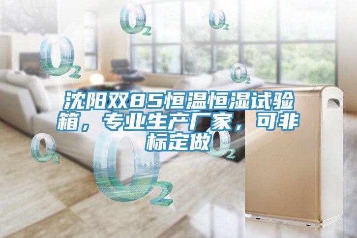 沈陽雙85恒溫恒濕試驗箱，專業(yè)生產(chǎn)廠家，可非標(biāo)定做