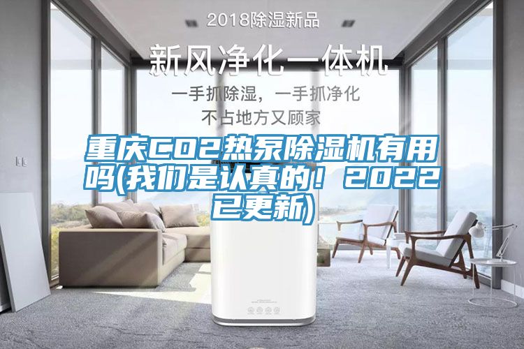 重慶CO2熱泵除濕機有用嗎(我們是認真的！2022已更新)