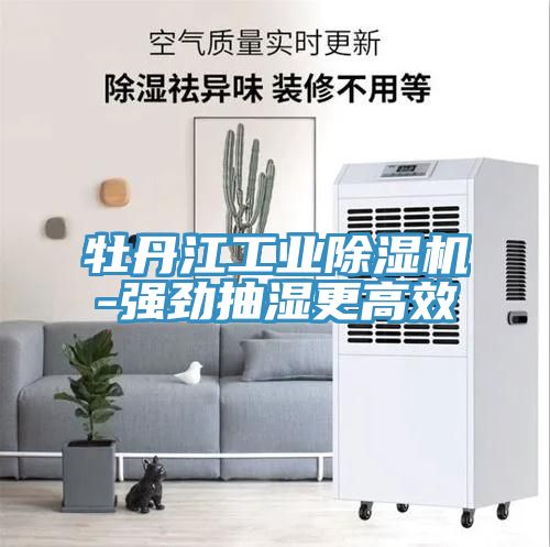 牡丹江工業(yè)除濕機-強勁抽濕更高效