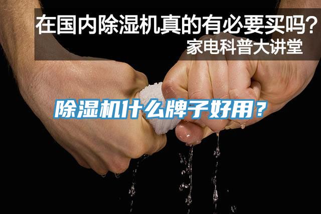 除濕機什么牌子好用？