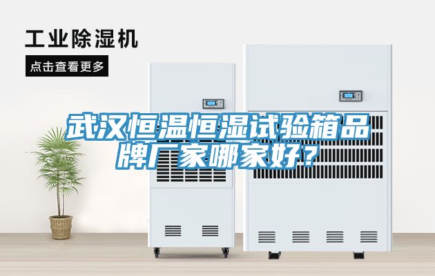 武漢恒溫恒濕試驗箱品牌廠家哪家好？