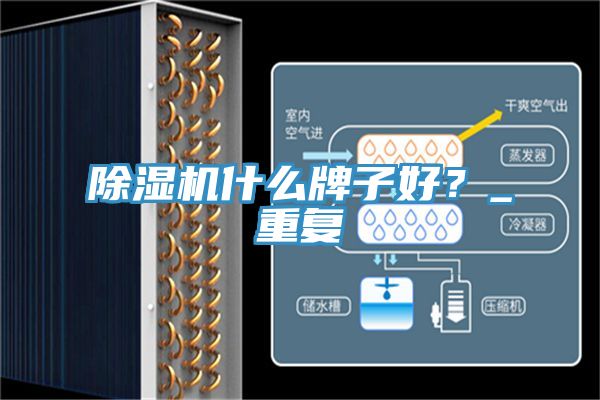 除濕機什么牌子好？_重復