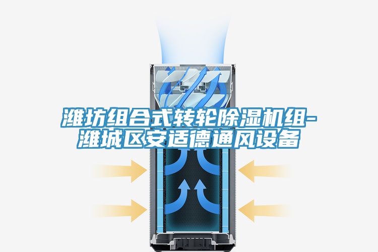 濰坊組合式轉(zhuǎn)輪除濕機組-濰城區(qū)安適德通風(fēng)設(shè)備