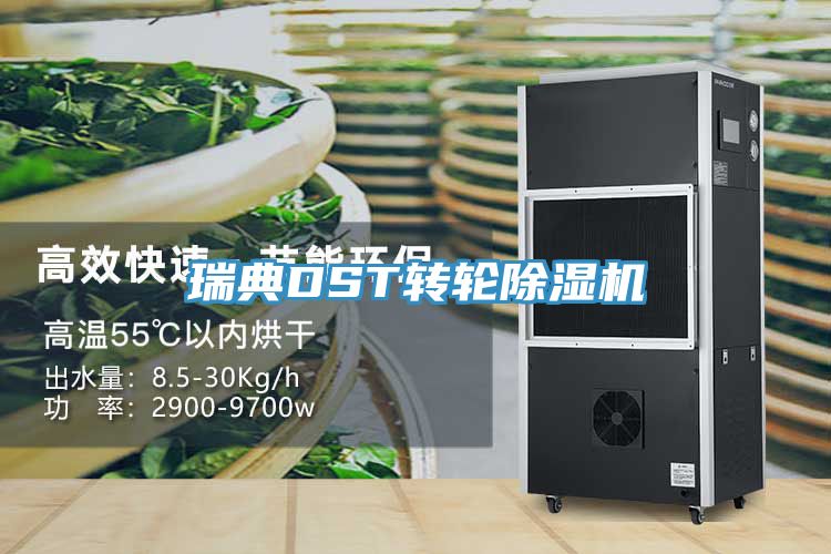 瑞典DST轉(zhuǎn)輪除濕機(jī)