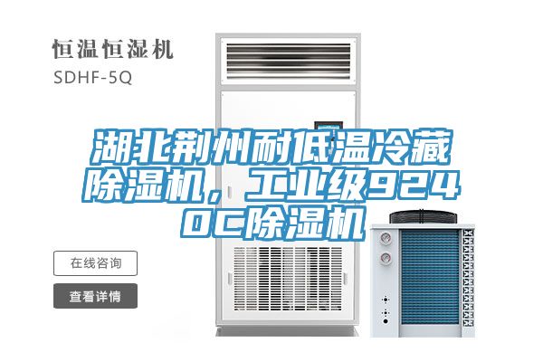 湖北荊州耐低溫冷藏除濕機(jī)，工業(yè)級9240C除濕機(jī)