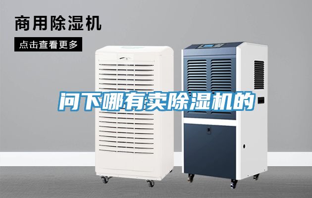 問下哪有賣除濕機(jī)的