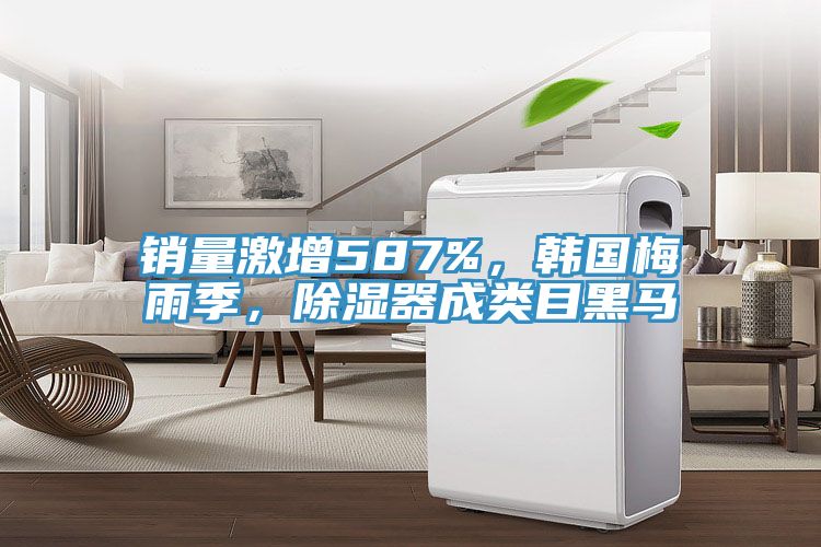 銷(xiāo)量激增587%，韓國(guó)梅雨季，除濕器成類(lèi)目黑馬