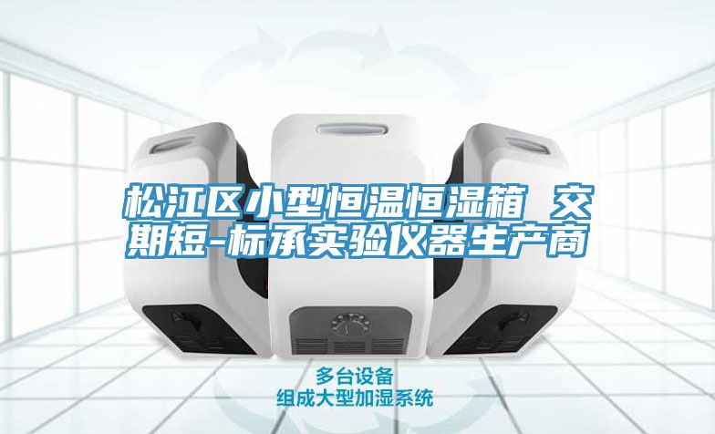 松江區(qū)小型恒溫恒濕箱 交期短-標(biāo)承實驗儀器生產(chǎn)商