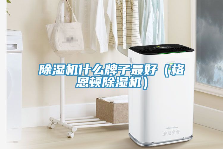 除濕機(jī)什么牌子最好（格恩頓除濕機(jī)）
