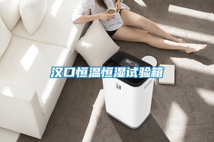 漢口恒溫恒濕試驗(yàn)箱