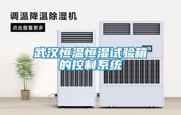 武漢恒溫恒濕試驗(yàn)箱的控制系統(tǒng)
