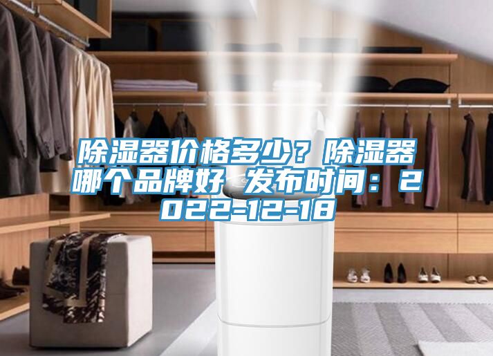 除濕器價(jià)格多少？除濕器哪個(gè)品牌好 發(fā)布時(shí)間：2022-12-18