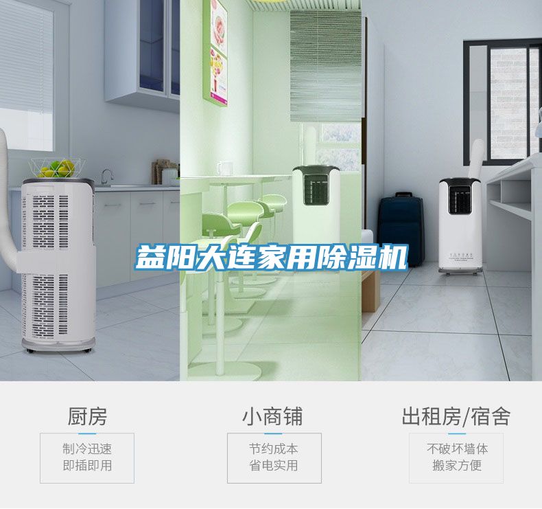 益陽(yáng)大連家用除濕機(jī)