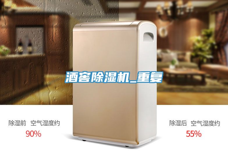 酒窖除濕機_重復(fù)