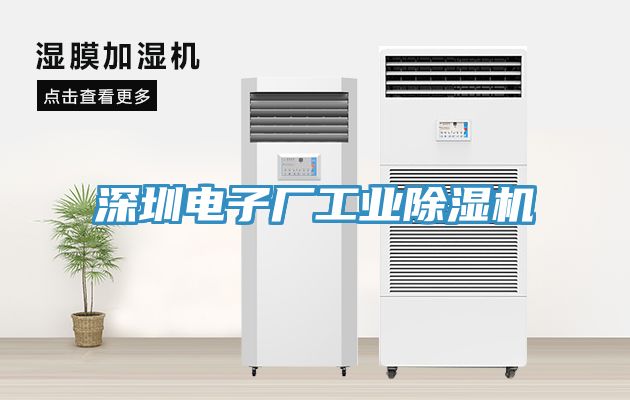 深圳電子廠工業(yè)除濕機(jī)