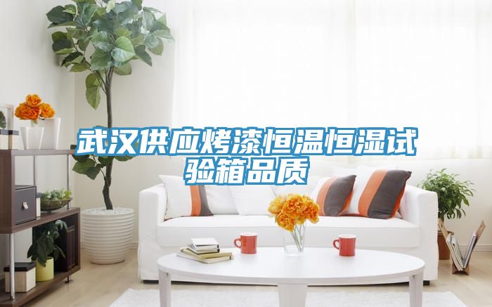 武漢供應(yīng)烤漆恒溫恒濕試驗(yàn)箱品質(zhì)