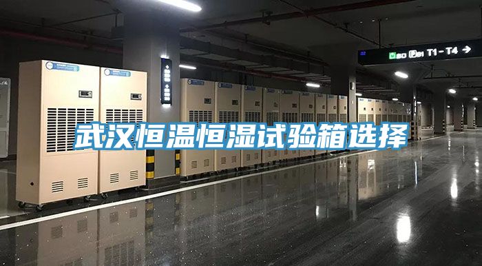 武漢恒溫恒濕試驗(yàn)箱選擇