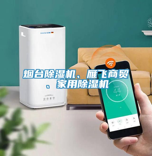 煙臺除濕機(jī)、雁飛商貿(mào)、家用除濕機(jī)