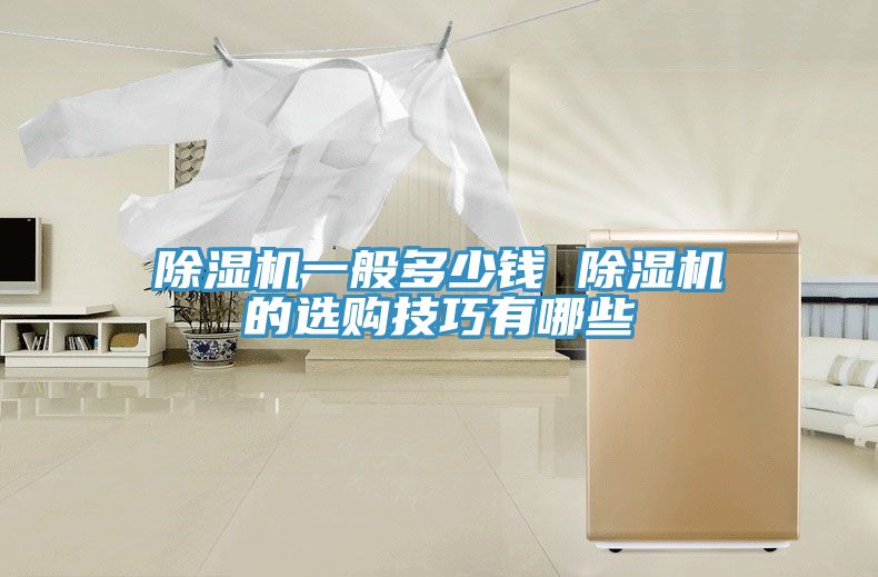 除濕機一般多少錢 除濕機的選購技巧有哪些