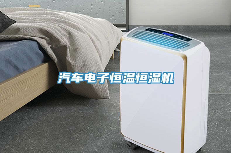 汽車電子恒溫恒濕機