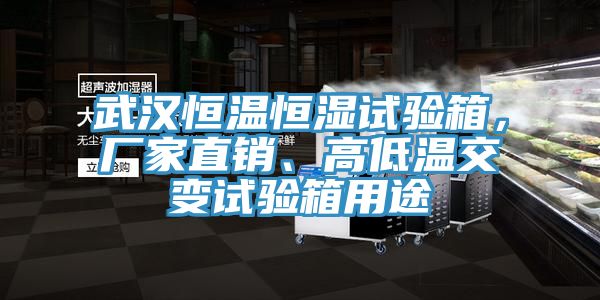 武漢恒溫恒濕試驗(yàn)箱，廠家直銷、高低溫交變?cè)囼?yàn)箱用途