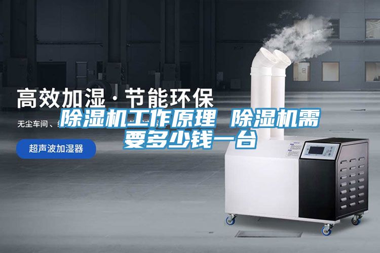 除濕機(jī)工作原理 除濕機(jī)需要多少錢(qián)一臺(tái)
