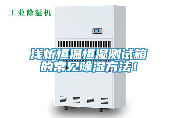 淺析恒溫恒濕測(cè)試箱的常見(jiàn)除濕方法！
