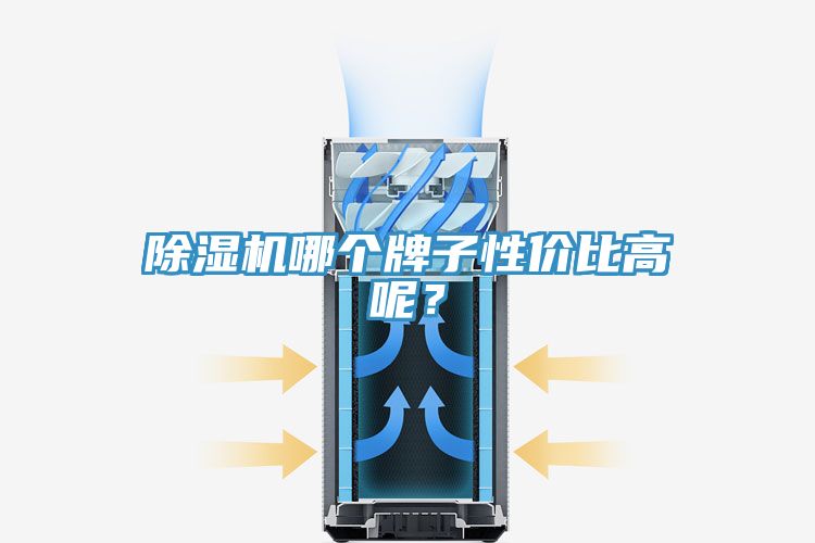 除濕機(jī)哪個(gè)牌子性價(jià)比高呢？