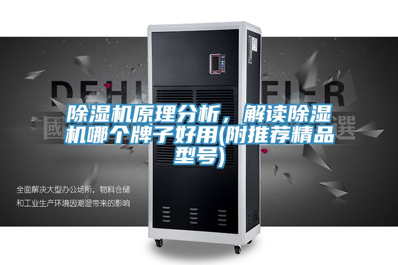 除濕機(jī)原理分析，解讀除濕機(jī)哪個(gè)牌子好用(附推薦精品型號(hào))
