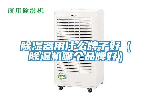 除濕器用什么牌子好（除濕機(jī)哪個品牌好）