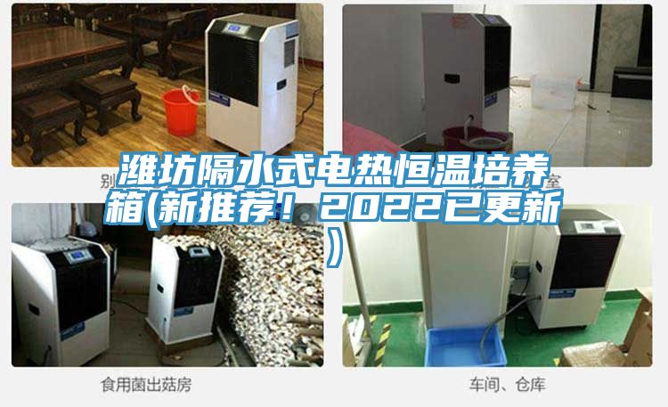 濰坊隔水式電熱恒溫培養(yǎng)箱(新推薦！2022已更新)
