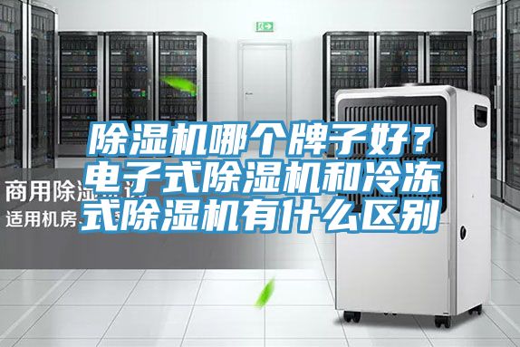 除濕機哪個牌子好？電子式除濕機和冷凍式除濕機有什么區(qū)別