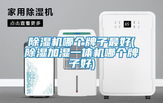 除濕機(jī)哪個(gè)牌子最好(除濕加濕一體機(jī)哪個(gè)牌子好)