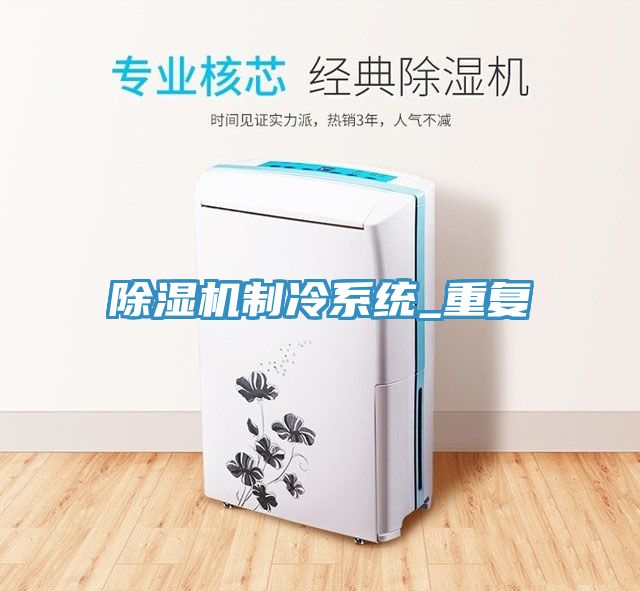 除濕機制冷系統(tǒng)_重復(fù)