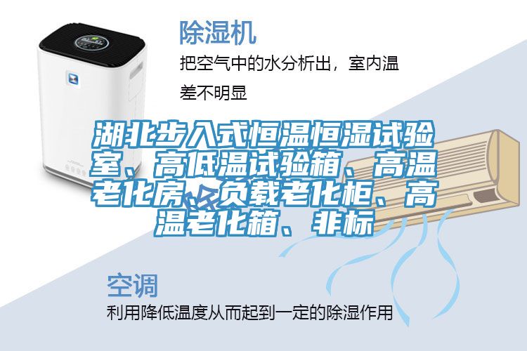 湖北步入式恒溫恒濕試驗(yàn)室、高低溫試驗(yàn)箱、高溫老化房、負(fù)載老化柜、高溫老化箱、非標(biāo)